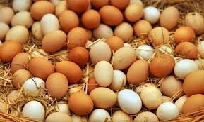 eggs